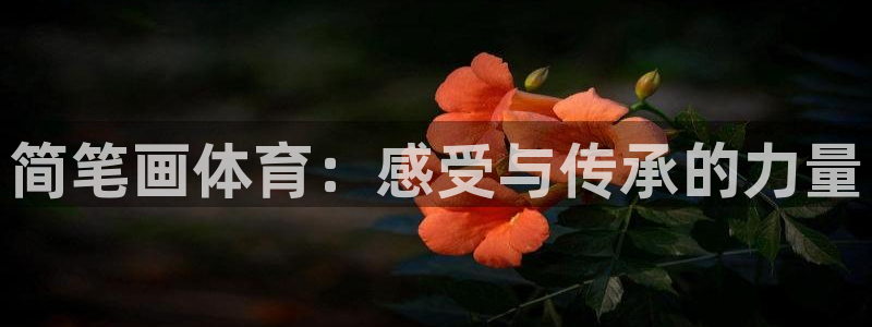 海南JJB竞技宝官网下载发展怎么样：简笔画体育：感受