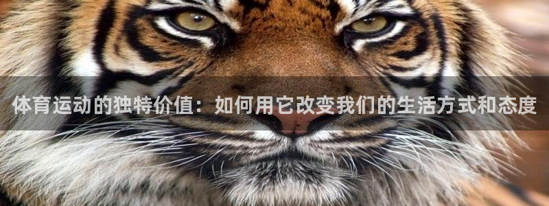 JJB竞技宝官方正版app娱乐首页官网下载：体育运动的独特价