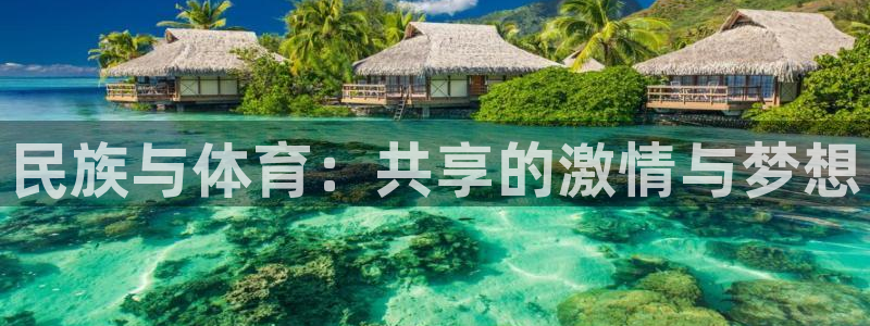 海南JJB竞技宝官网下载发展怎么样：民族与体育：共享的激情与