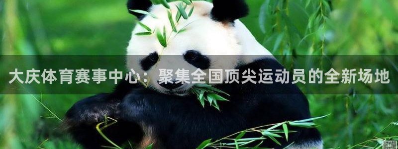JJB竞技宝官网下载联系电话：大庆体育赛事中心：聚集全国顶尖