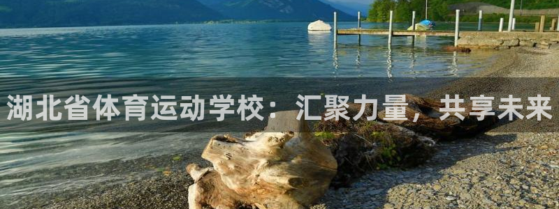 JJB竞技宝官方正版app娱乐