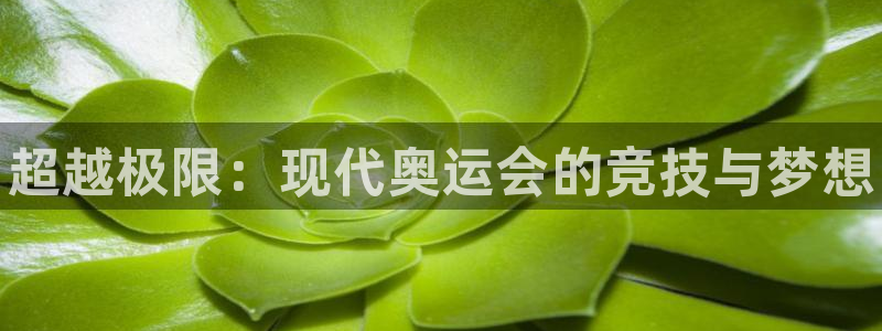 JJB竞技宝官网下载招商电话地址：超越极限：现代奥运