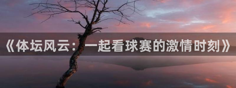 JJB竞技宝官方正版app集团官网首页：《体坛风云：一起看球