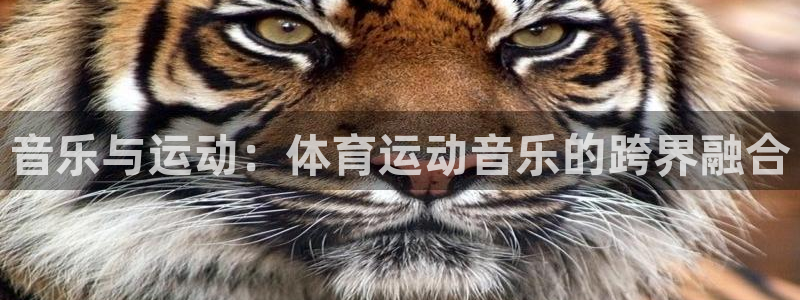 JJB竞技宝官方正版app娱乐代理怎么样：音乐与运动