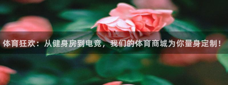 JJB竞技宝官方正版app集团：体育狂欢：从健身房到
