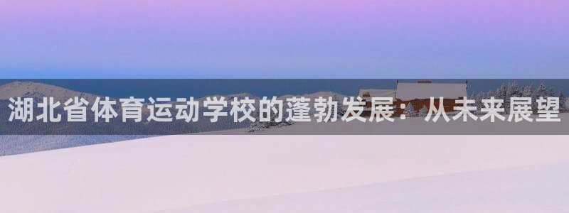 JJB竞技宝官方正版app娱乐：湖北省体育运动学校的蓬勃发展