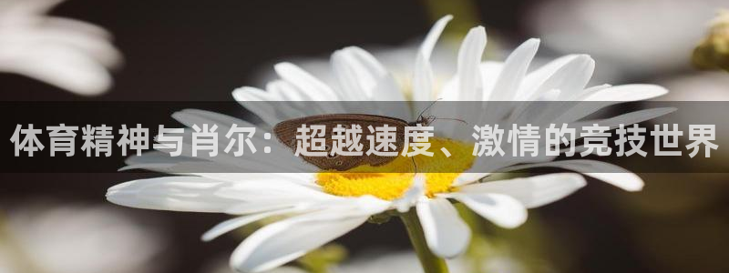 JJB竞技宝官方正版app集团简介：体育精神与肖尔：