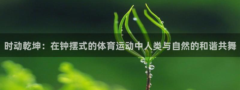 JJB竞技宝官方正版app开户：时动乾坤：在钟摆式的体育运动