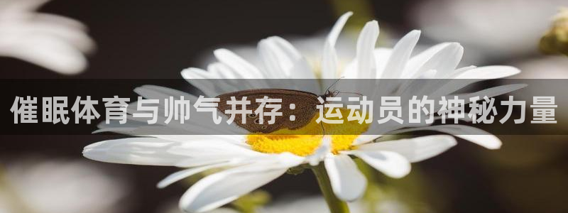 JJB竞技宝官方正版app新能源