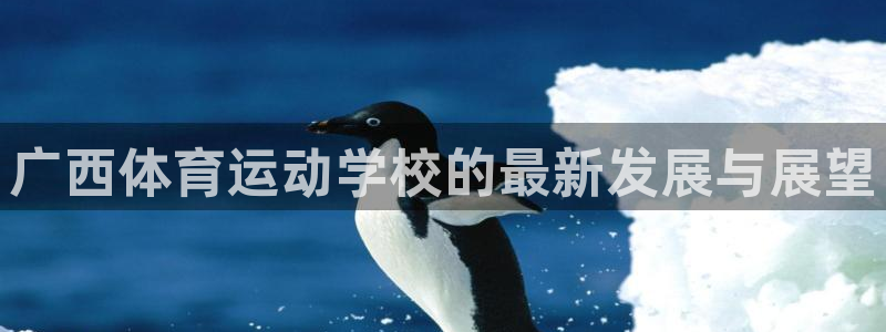 JJB竞技宝官网下载招商电话号码查询是多少：广西体育运动学校