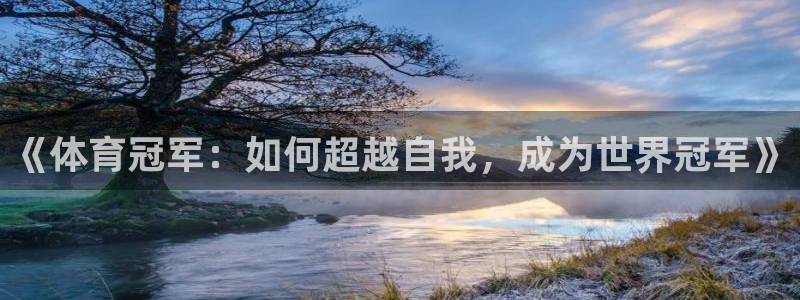 JJB竞技宝官方正版app新能源：《体育冠军：如何超越自我，