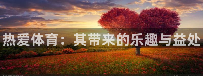 JJB竞技宝官网下载招商电话号码是多少号：热爱体育：其带来的