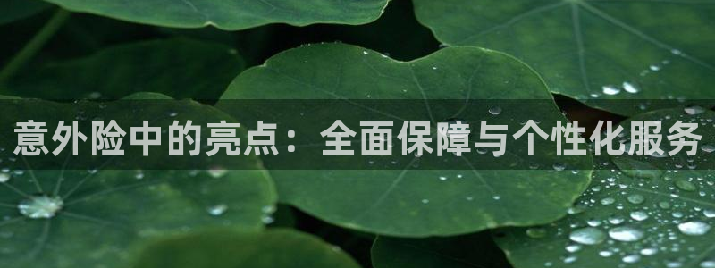 JJB竞技宝官方正版app娱乐网站：意外险中的亮点：