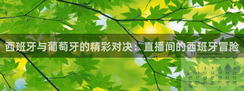 857体育赛事直播间：西班牙与葡萄牙的精彩对决：直播间的西班牙冒险