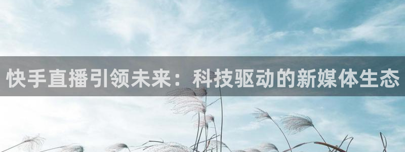 857体育足球直播：快手直播引领未来：科技驱动的新媒体生态