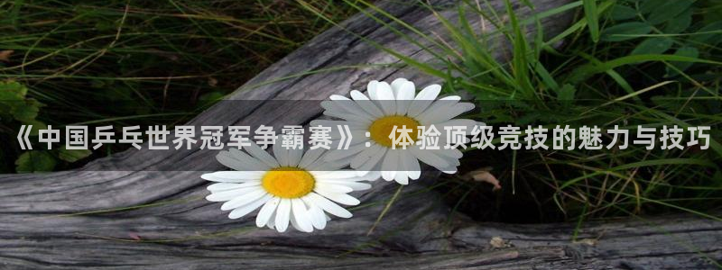 857体育赛事直播免费高清：《中国乒乓世界冠军争霸赛》：体验顶级竞技的魅力与技巧